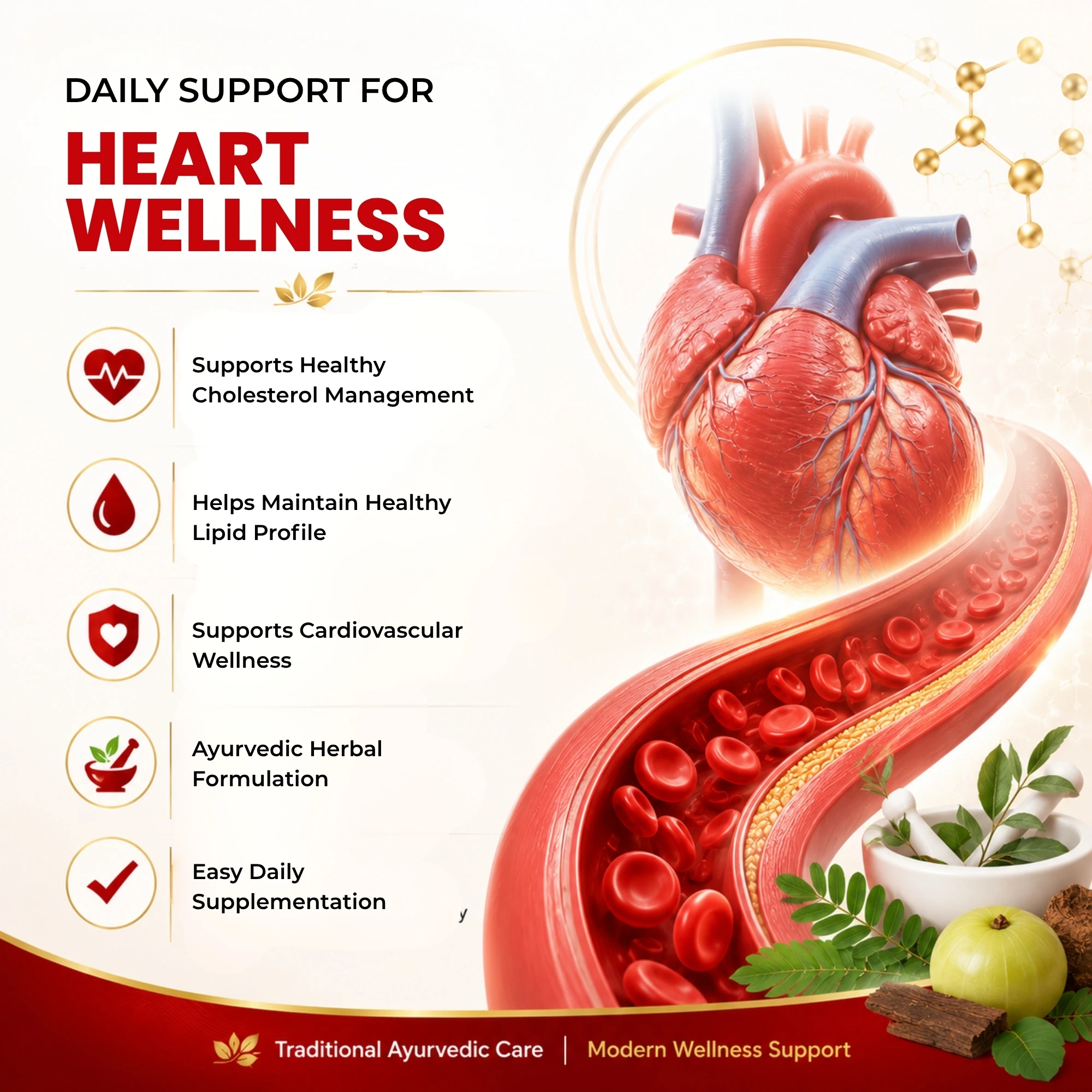 Lipocy Tablet